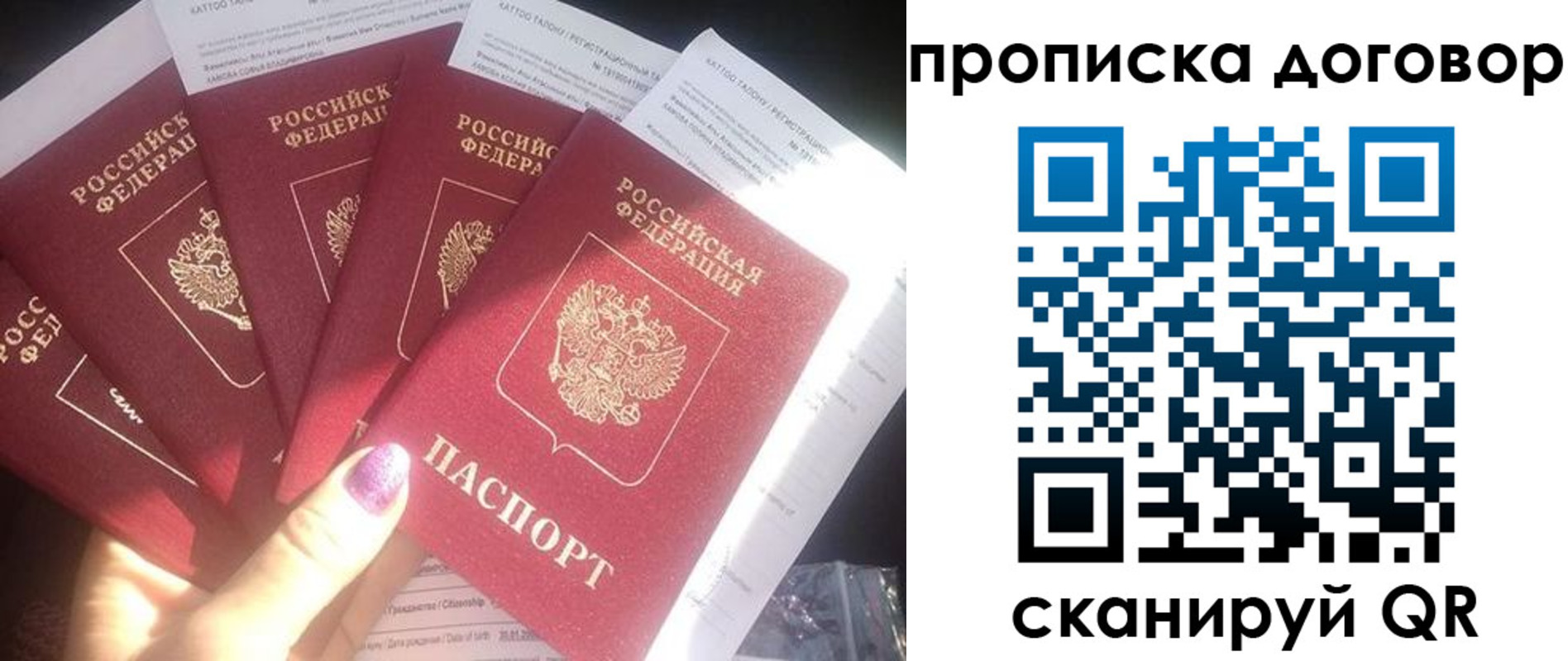 где прописаться в Ивантеевке
